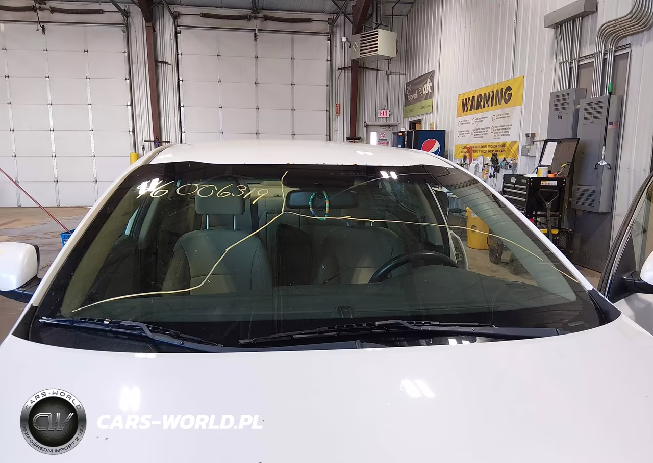 2013 Kia Optima Lx VIN:KNAGM4A73D5359239 - 13