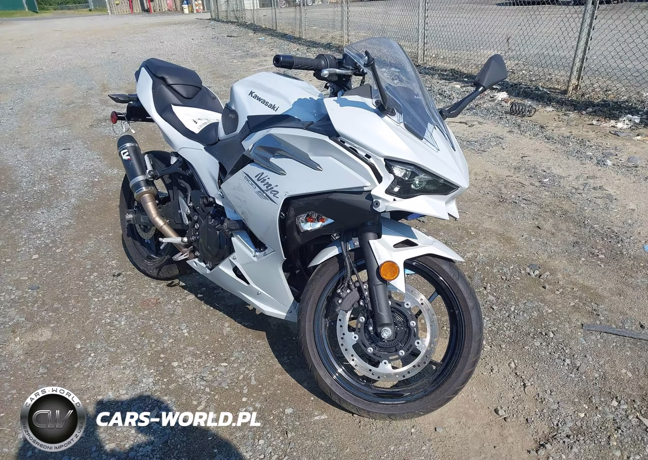 2025 Kawasaki Ex500 – zdjęcie 1 z 14