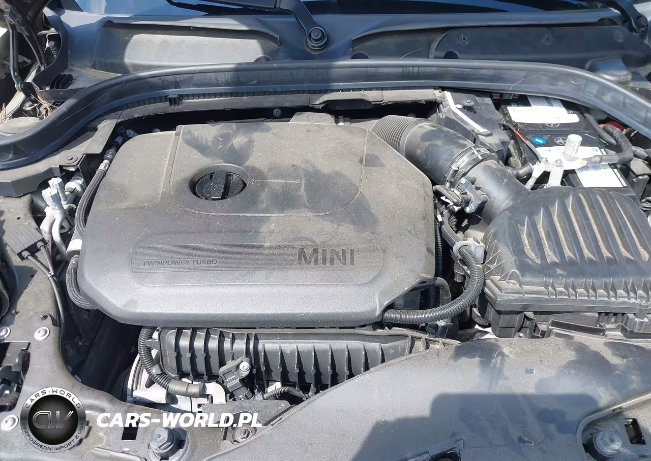 MINI COOPER VIN:WMWWJ3C0XL3L01427 - 10