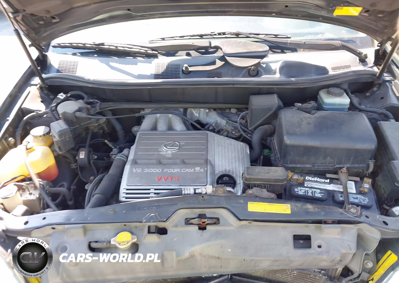 2003 Lexus Rx 300 VIN:JTJHF10U230310694 - 10