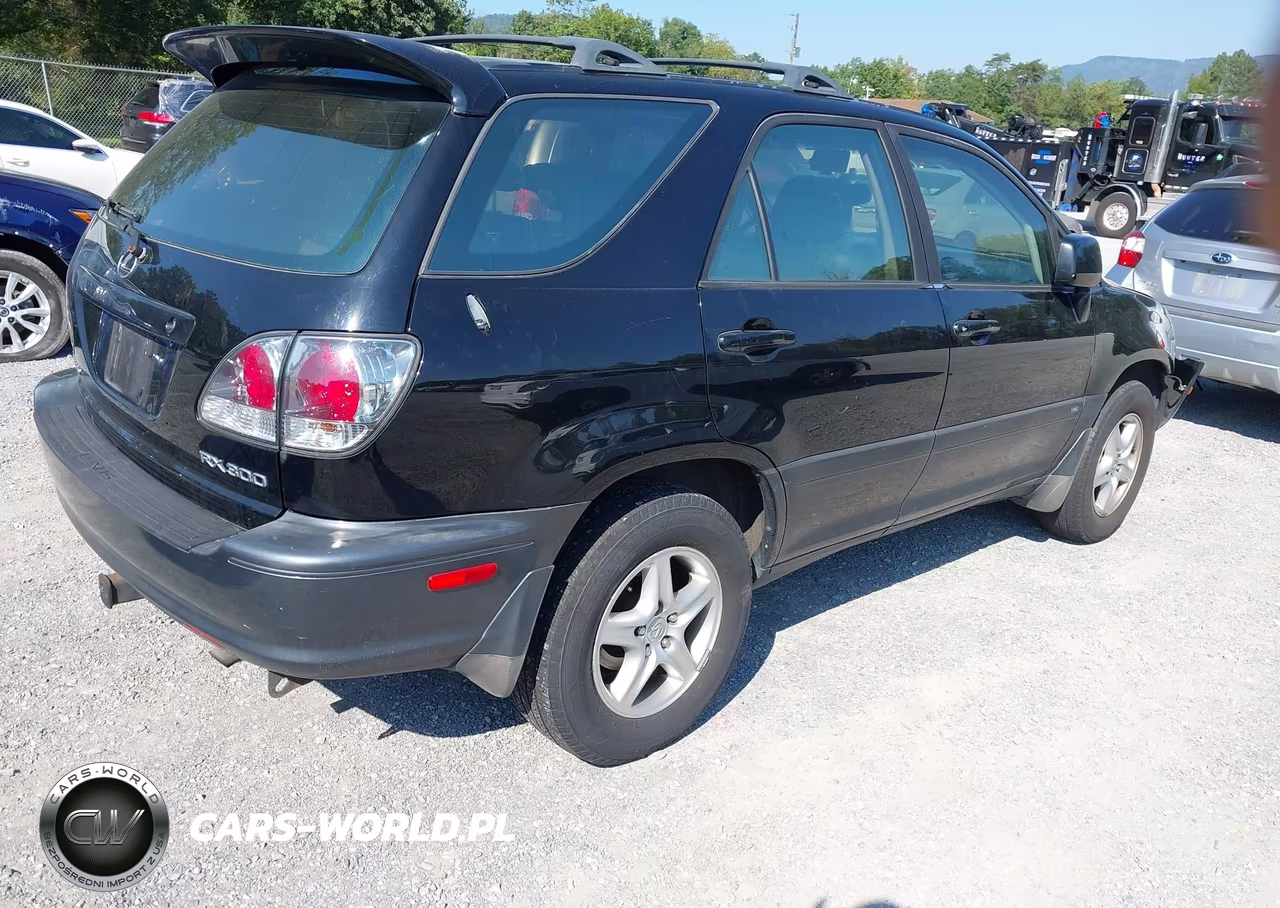 2003 Lexus Rx 300 VIN:JTJHF10U230310694 - 4