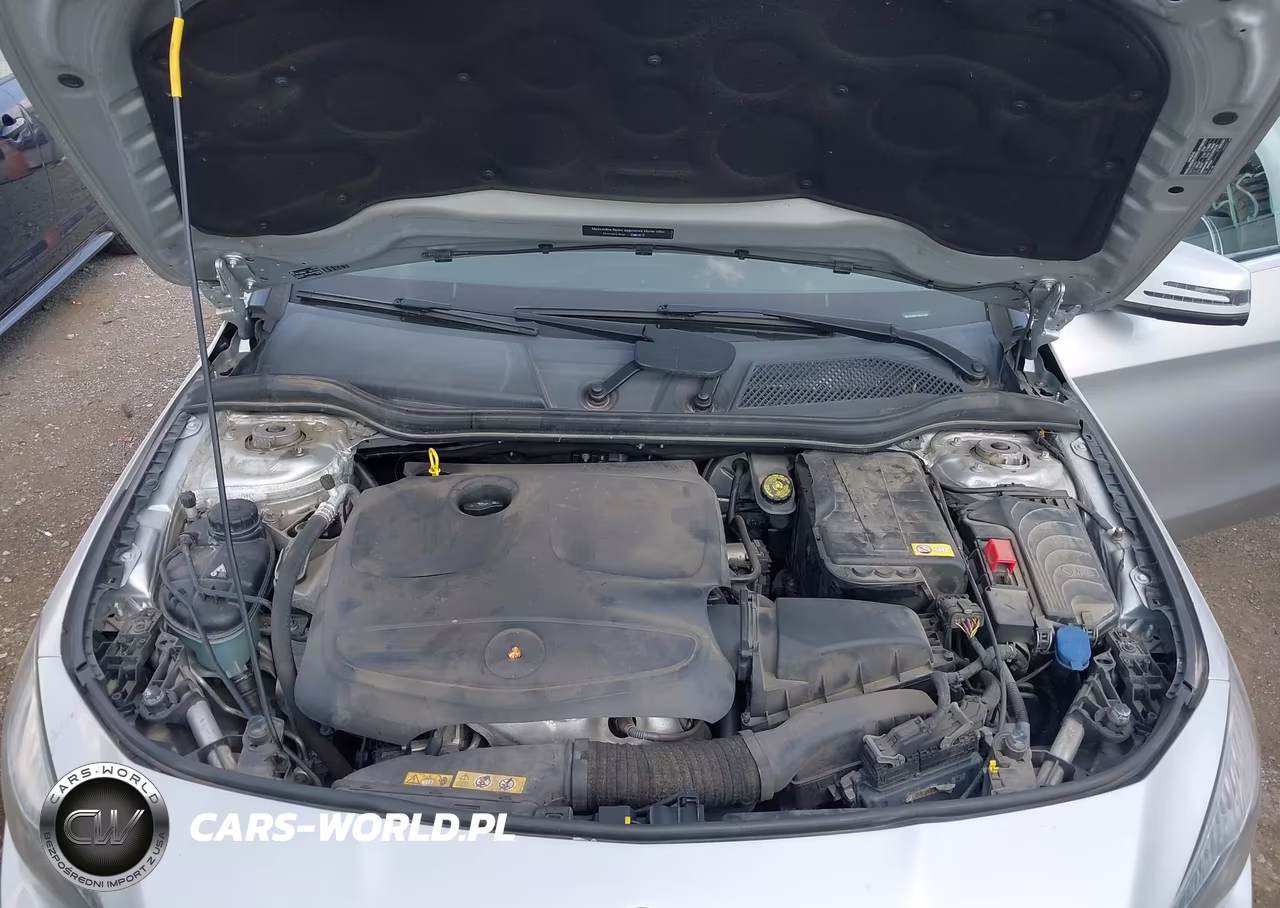 2014 Mercedes-Benz Cla 250 VIN:WDDSJ4EB7EN101687 - 10