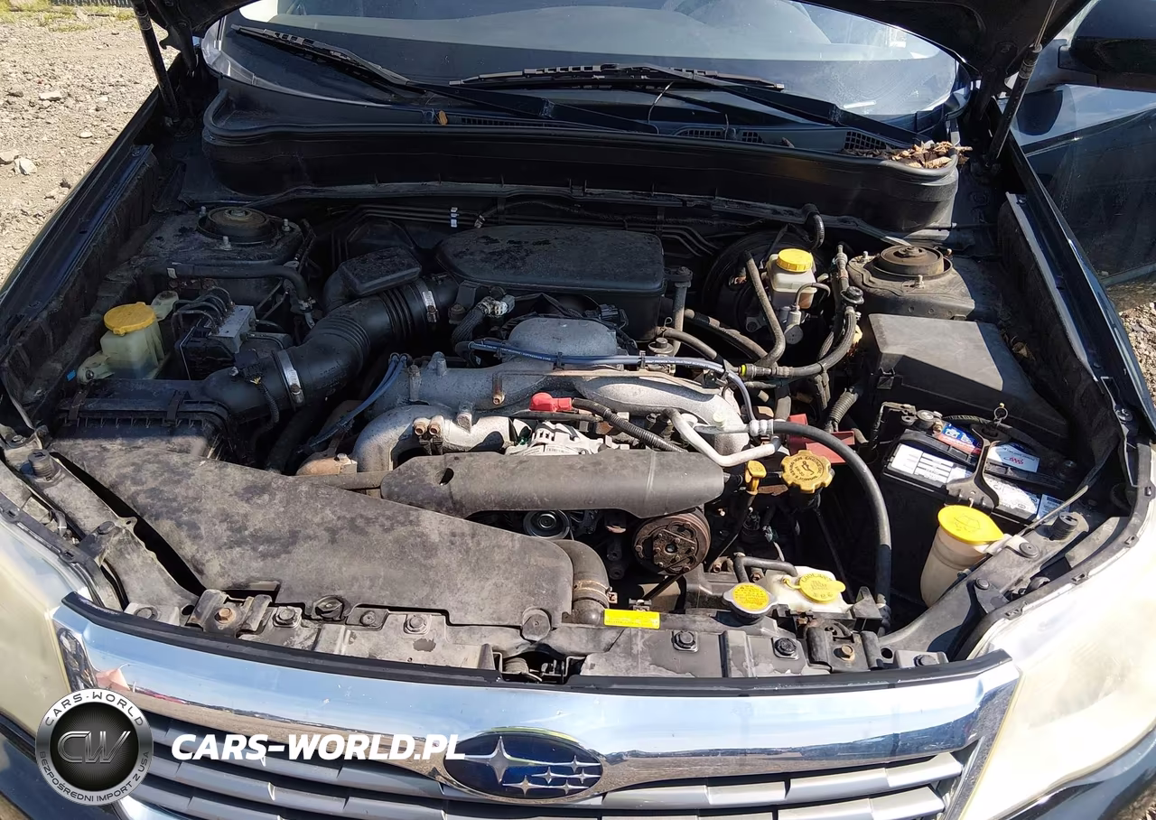 2010 Subaru Forester 2.5X Premium VIN:JF2SH6CC8AH792395 - 10