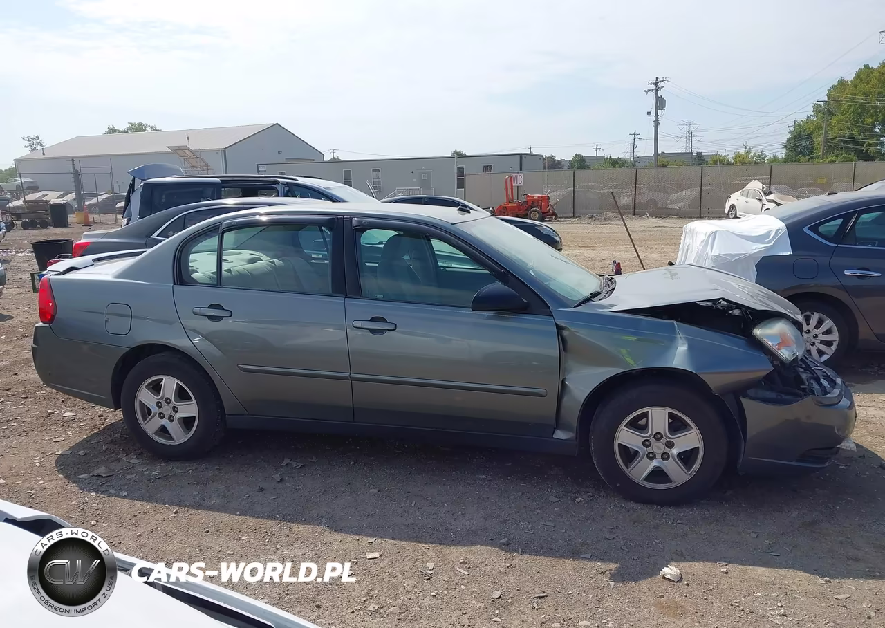 2004 Chevrolet Malibu Ls VIN:1G1ZT54854F110517 - 12