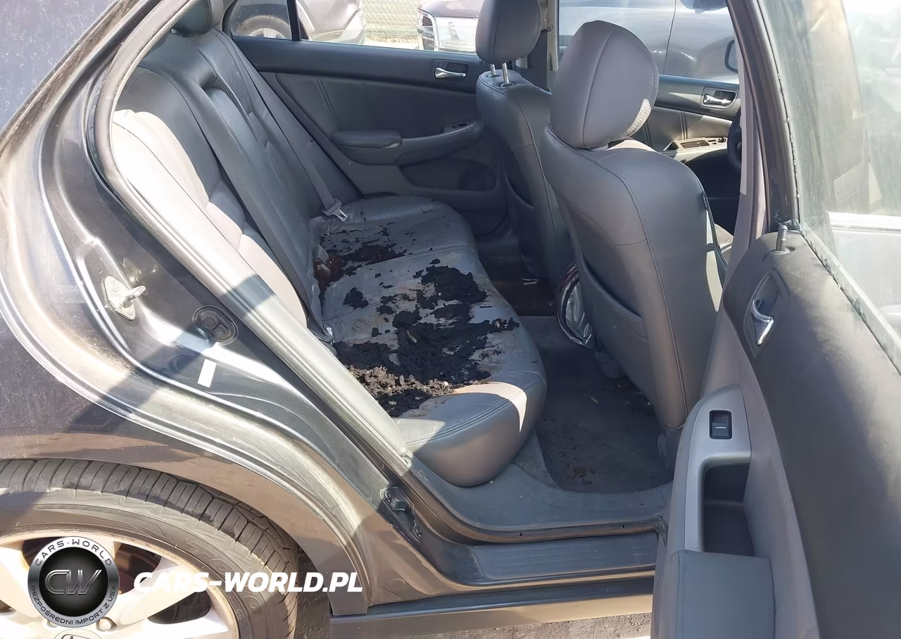 2007 Honda Accord 3.0 Ex VIN:1HGCM66537A056513 - 8