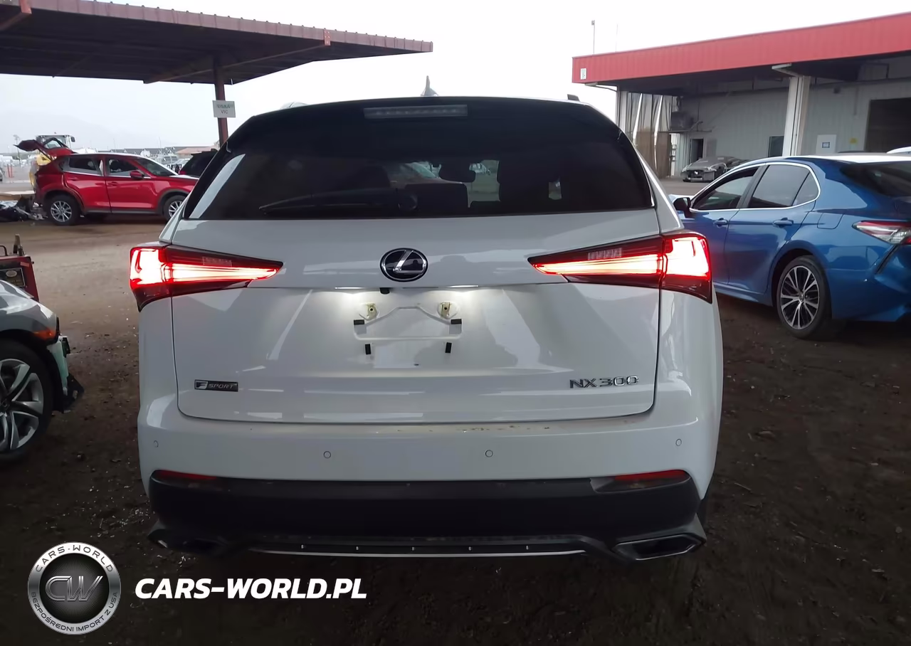 2018 Lexus Nx 300 F Sport VIN:JTJBARBZ7J2150695 - 16