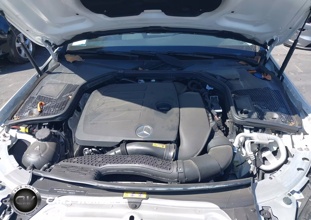 2019 Mercedes-Benz C 300 VIN:55SWF8DB1KU315041 - 10