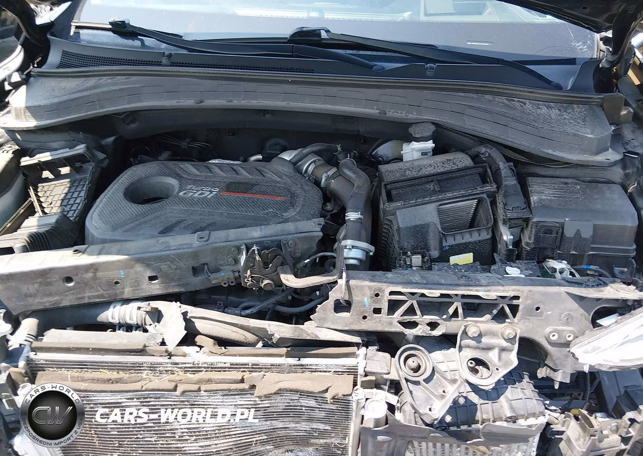 2020 Hyundai Santa Fe Limited 2.0T VIN:5NMS53AA1LH182492 - 10