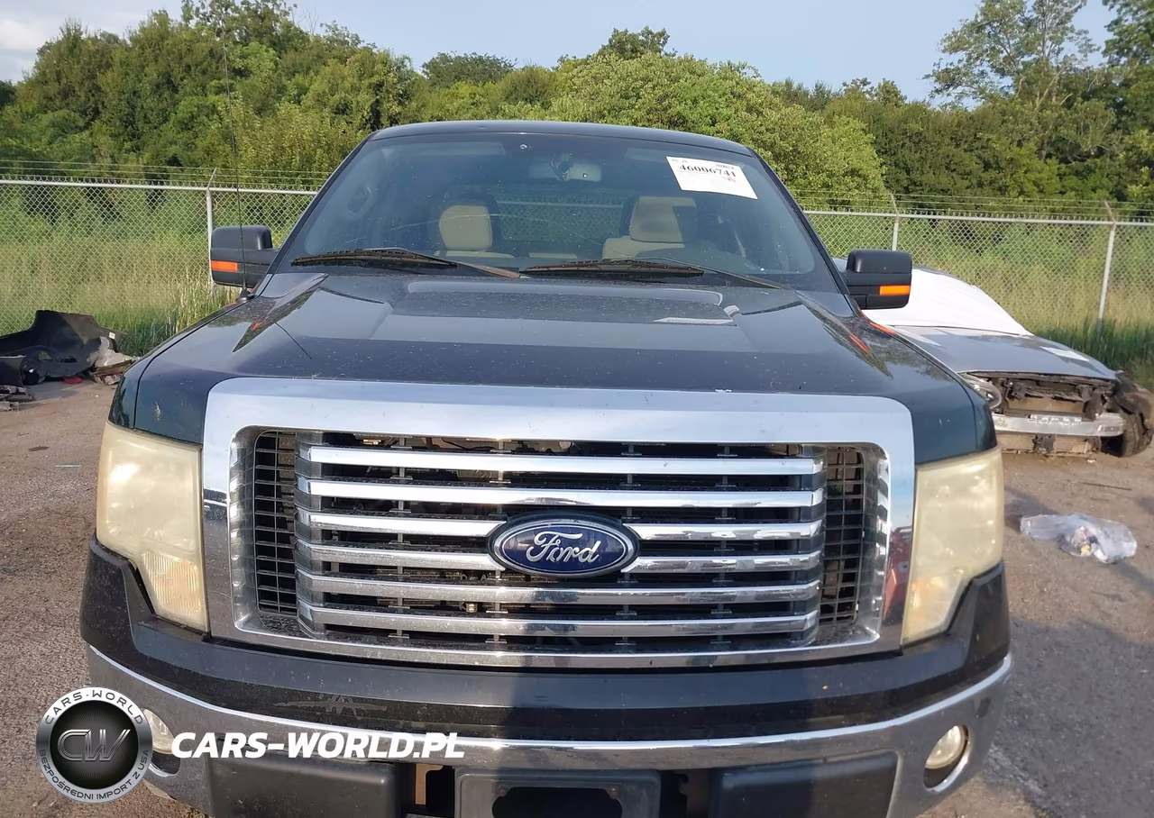 2010 Ford F-150 Fx2 Sport-Xl-Xlt VIN:1FTEW1C86AFA77756 - 12