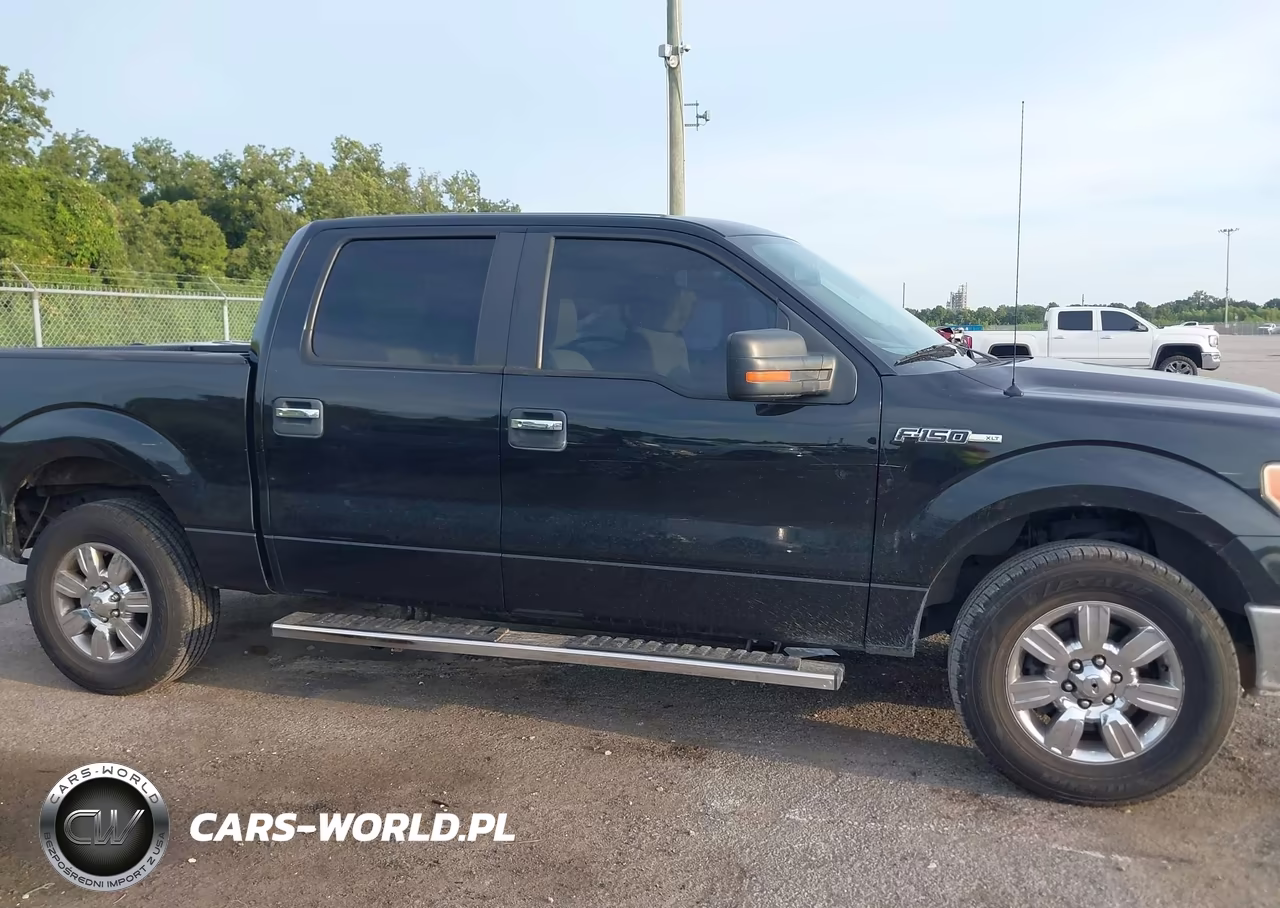 2010 Ford F-150 Fx2 Sport-Xl-Xlt VIN:1FTEW1C86AFA77756 - 13