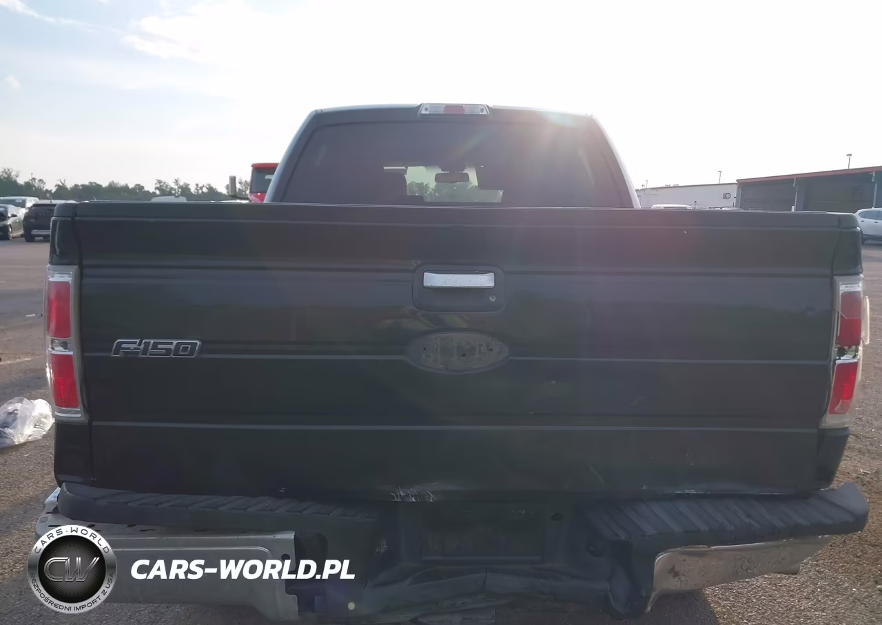 2010 Ford F-150 Fx2 Sport-Xl-Xlt VIN:1FTEW1C86AFA77756 - 16
