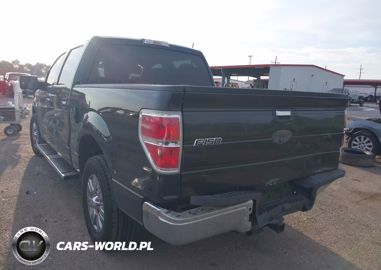 2010 Ford F-150 Fx2 Sport-Xl-Xlt VIN:1FTEW1C86AFA77756 - 3