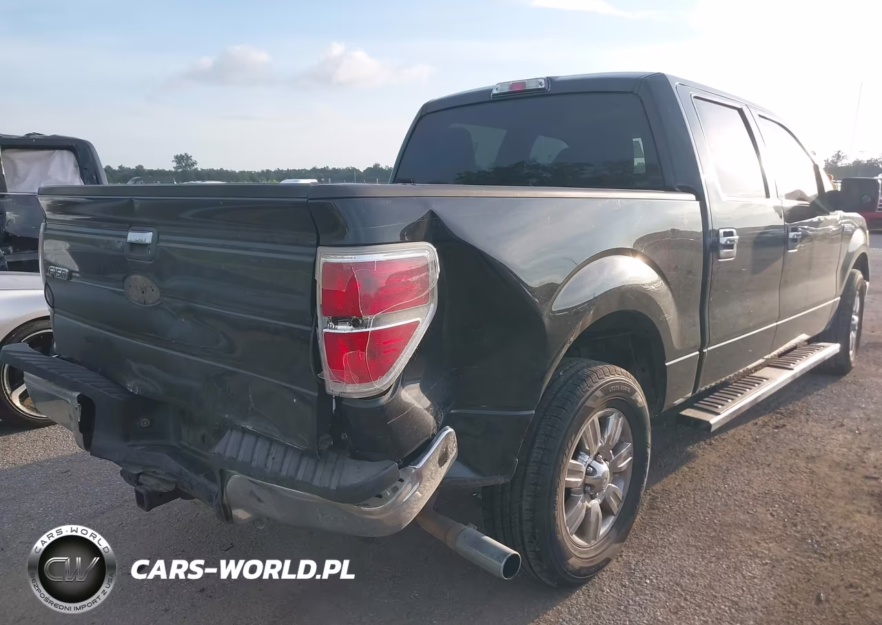 2010 Ford F-150 Fx2 Sport-Xl-Xlt VIN:1FTEW1C86AFA77756 - 4