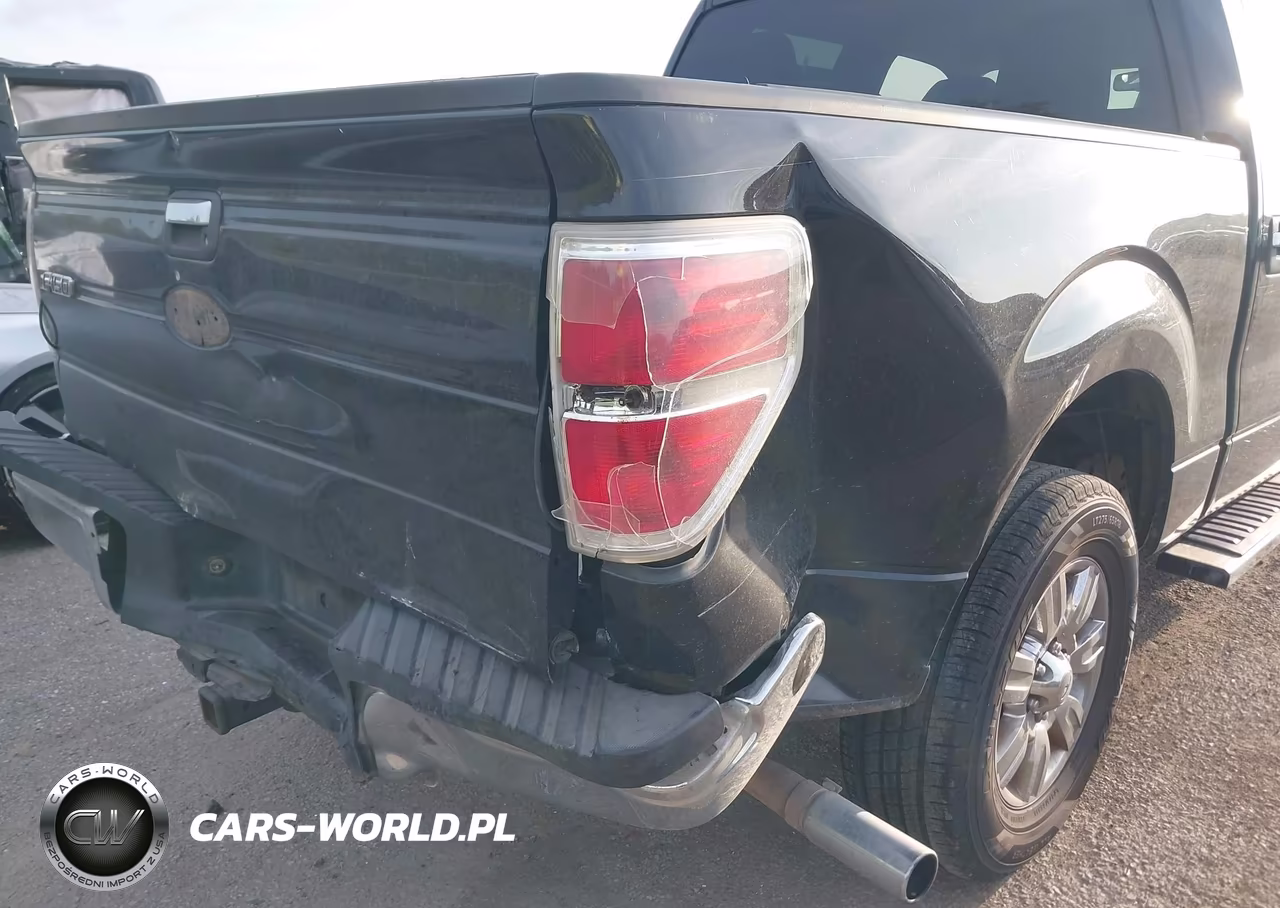 2010 Ford F-150 Fx2 Sport-Xl-Xlt VIN:1FTEW1C86AFA77756 - 6