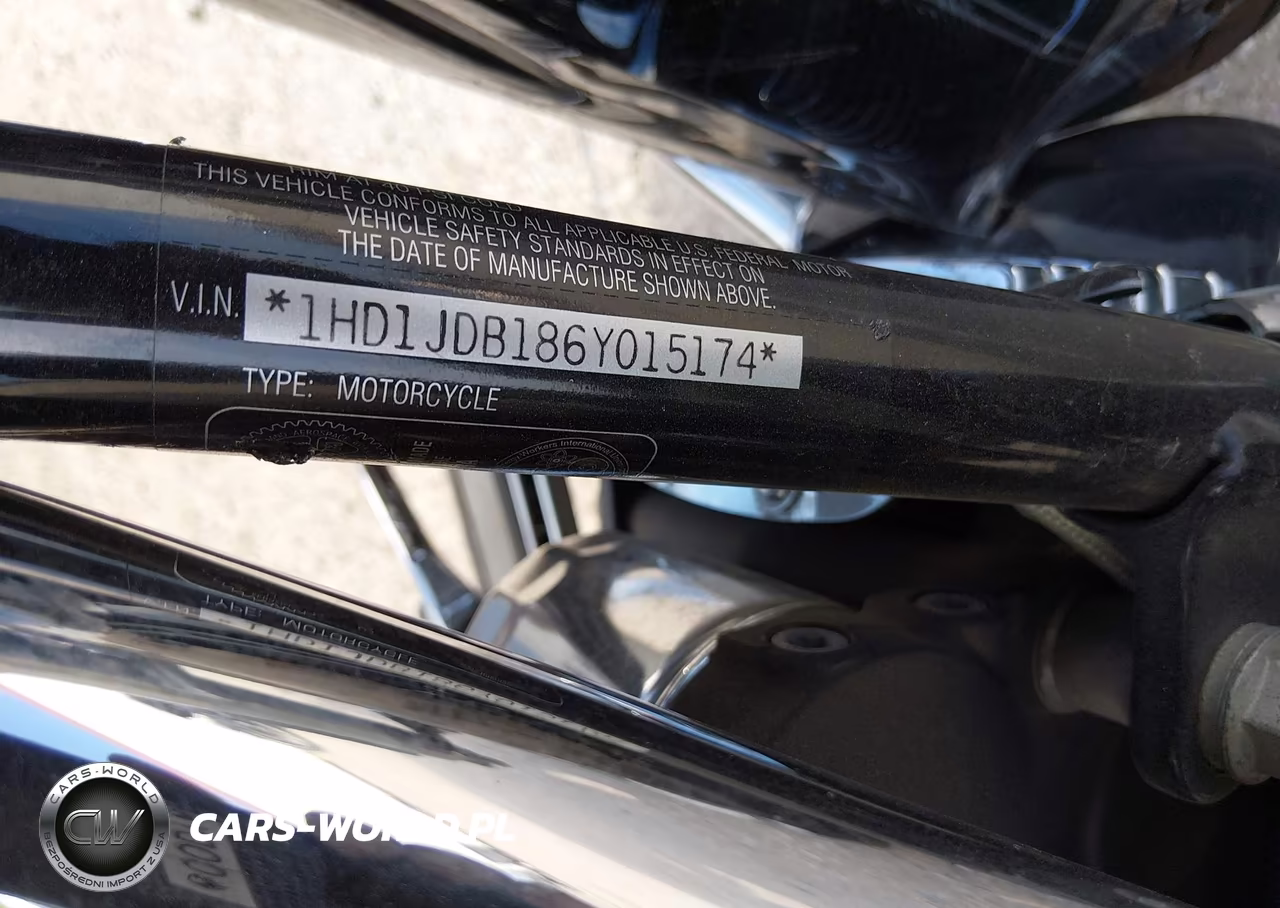 2006 Harley-Davidson Flstni VIN:1HD1JDB186Y015174 - 10