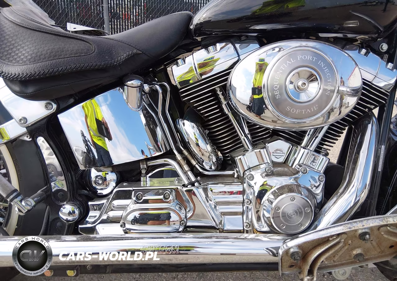 2006 Harley-Davidson Flstni VIN:1HD1JDB186Y015174 - 8