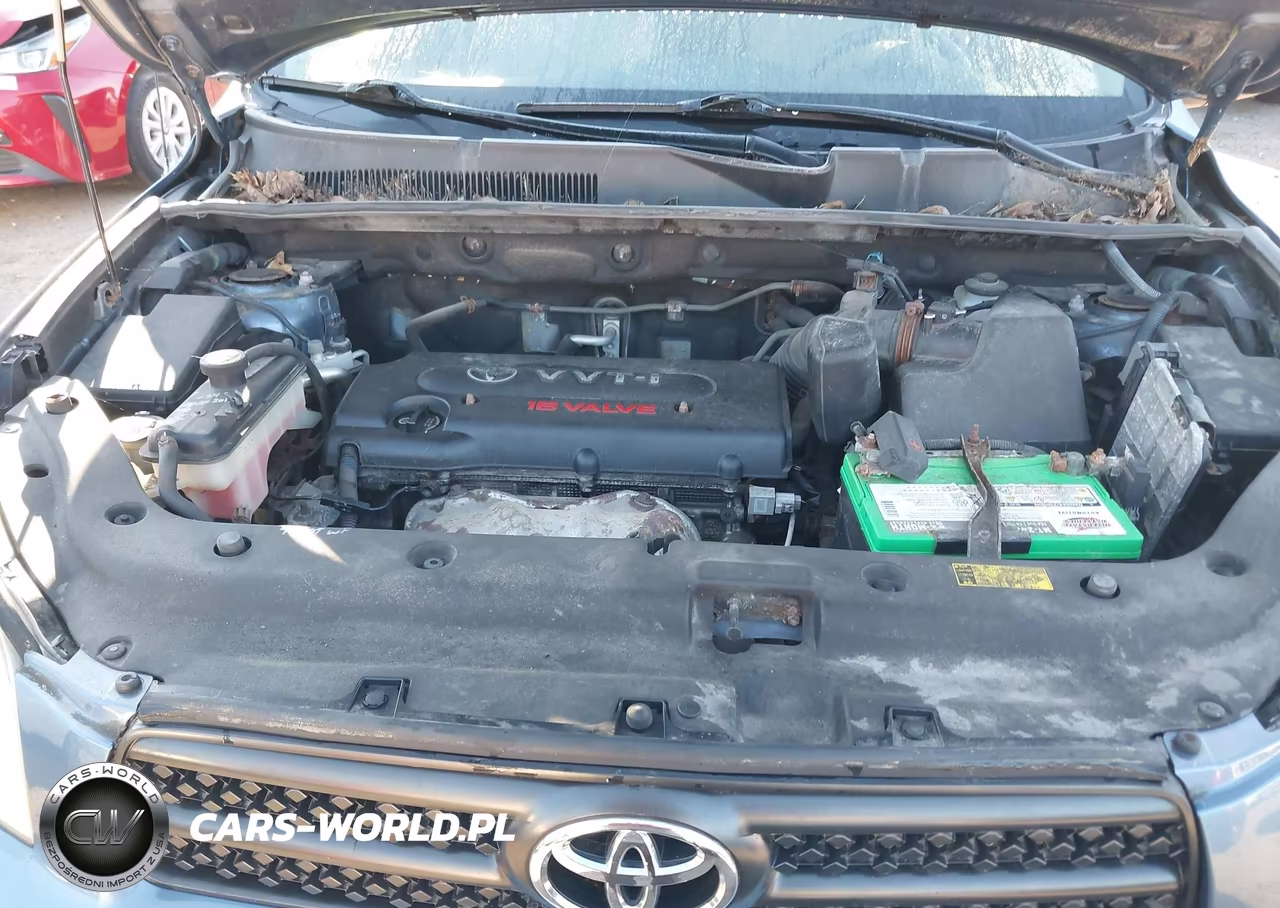 2006 Toyota Rav4 VIN:JTMBD33V565036817 - 10