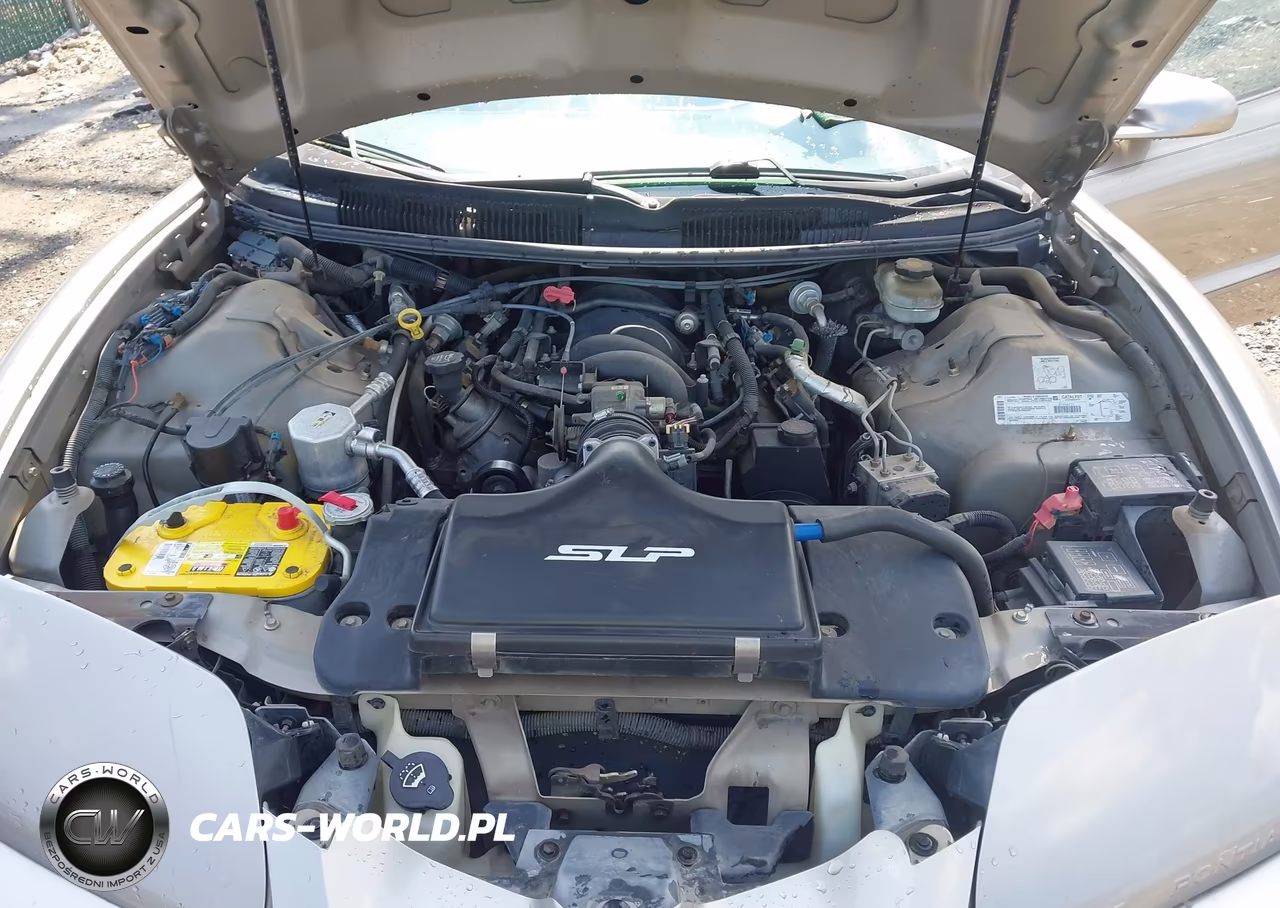 2002 Pontiac Firebird Trans Am VIN:2G2FV22G222170173 - 10