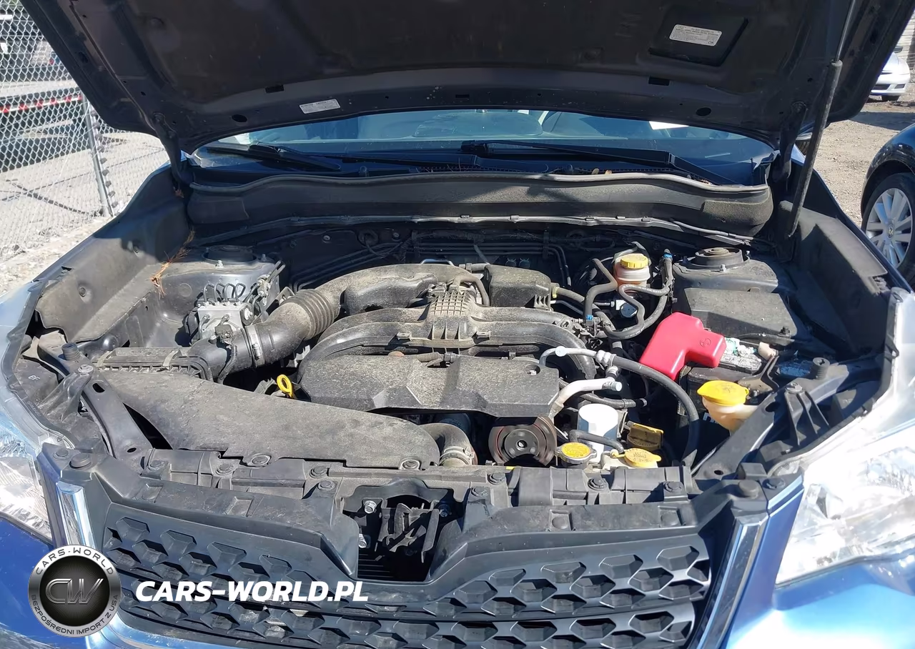 2016 Subaru Forester 2.5I VIN:JF2SJABC4GH549457 - 10