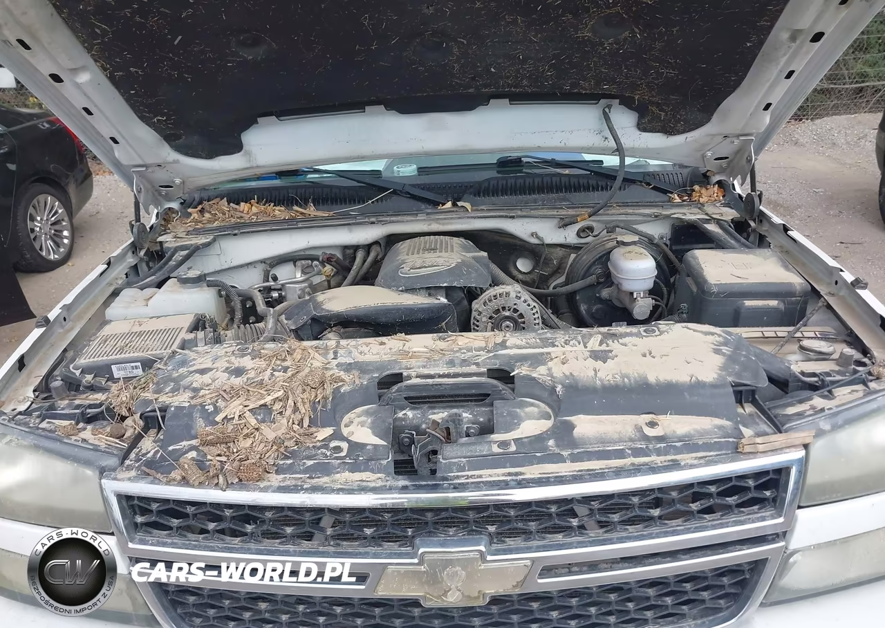 2006 Chevrolet Silverado 1500 Lt1 VIN:1GCEC19V86Z103365 - 13
