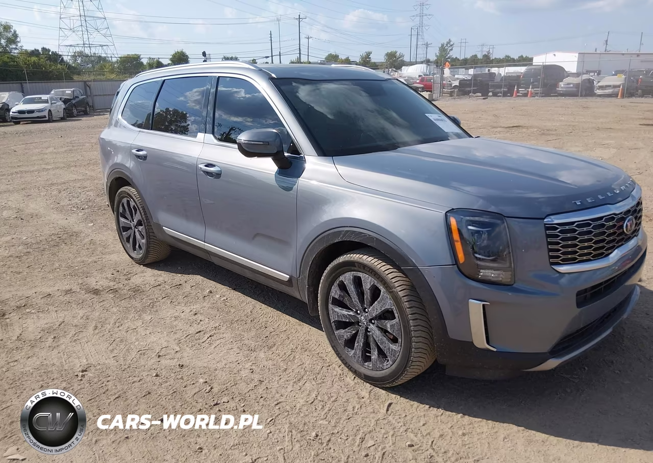 2020 Kia Telluride S VIN:5XYP6DHC3LG031440 - 1