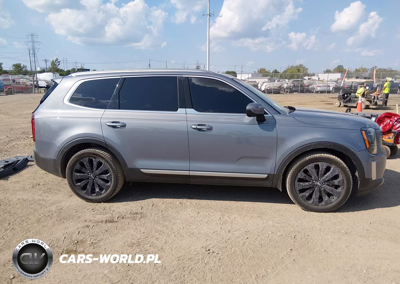 2020 Kia Telluride S VIN:5XYP6DHC3LG031440 - 13