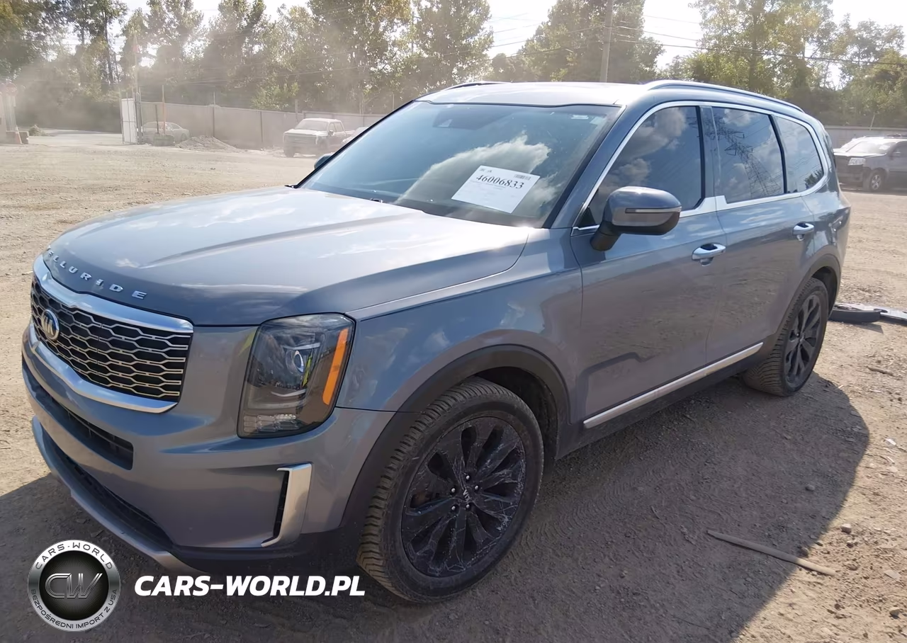 2020 Kia Telluride S VIN:5XYP6DHC3LG031440 - 2