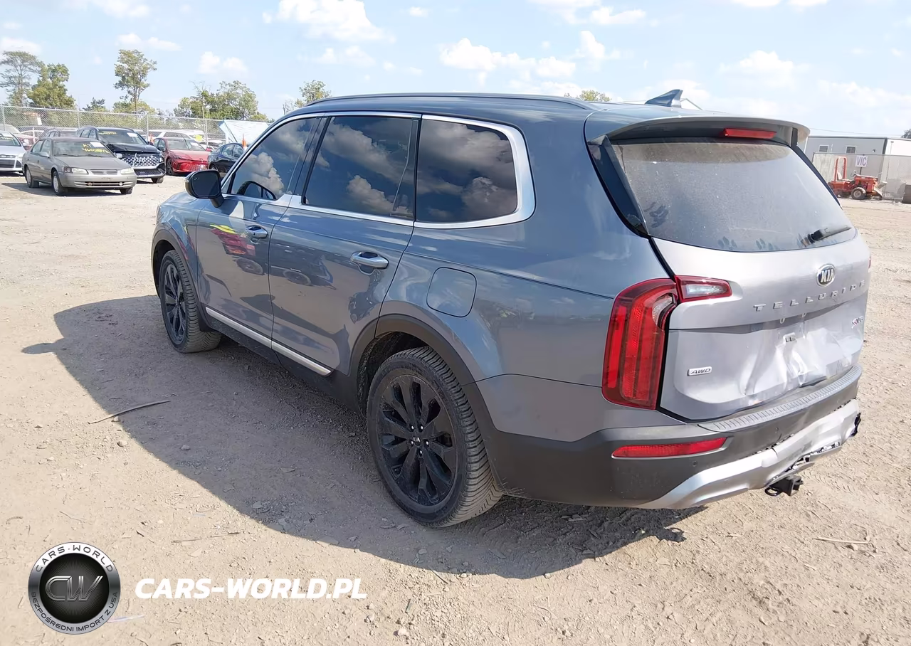 2020 Kia Telluride S VIN:5XYP6DHC3LG031440 - 3