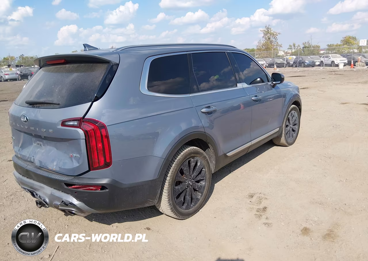 2020 Kia Telluride S VIN:5XYP6DHC3LG031440 - 4