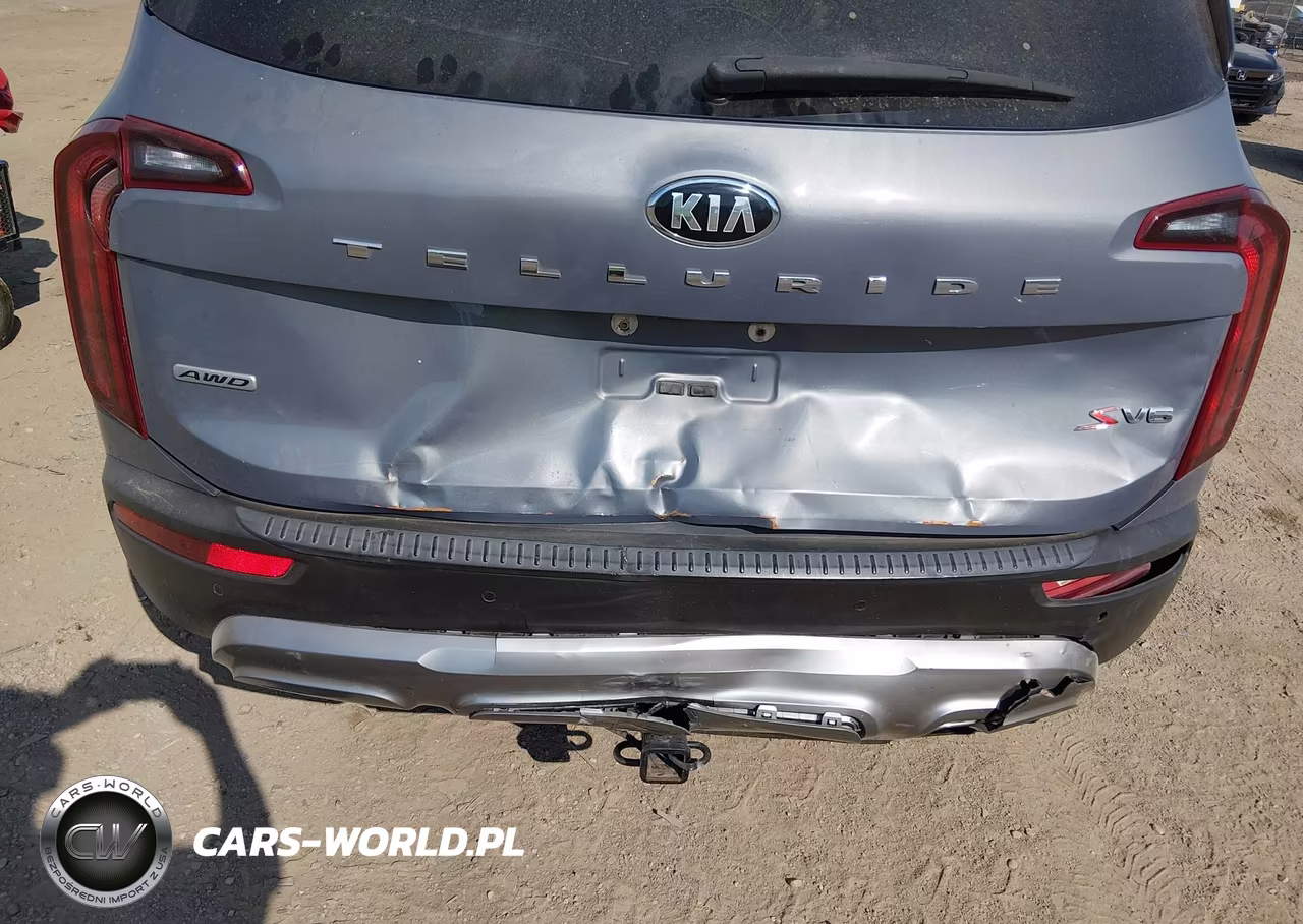 2020 Kia Telluride S VIN:5XYP6DHC3LG031440 - 6