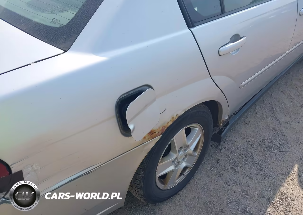 2004 Chevrolet Malibu Ls VIN:1G1ZT52824F205331 - 15