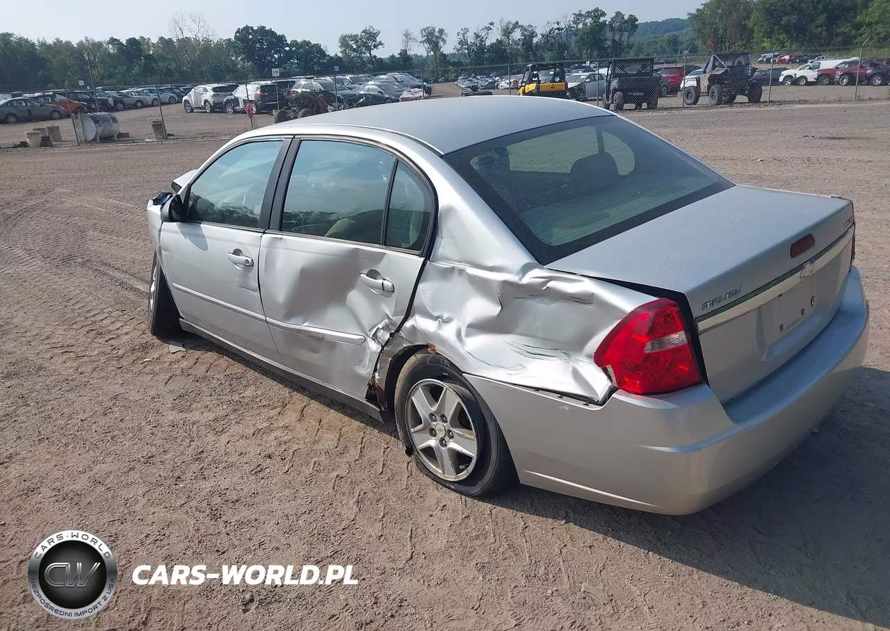 2004 Chevrolet Malibu Ls VIN:1G1ZT52824F205331 - 3