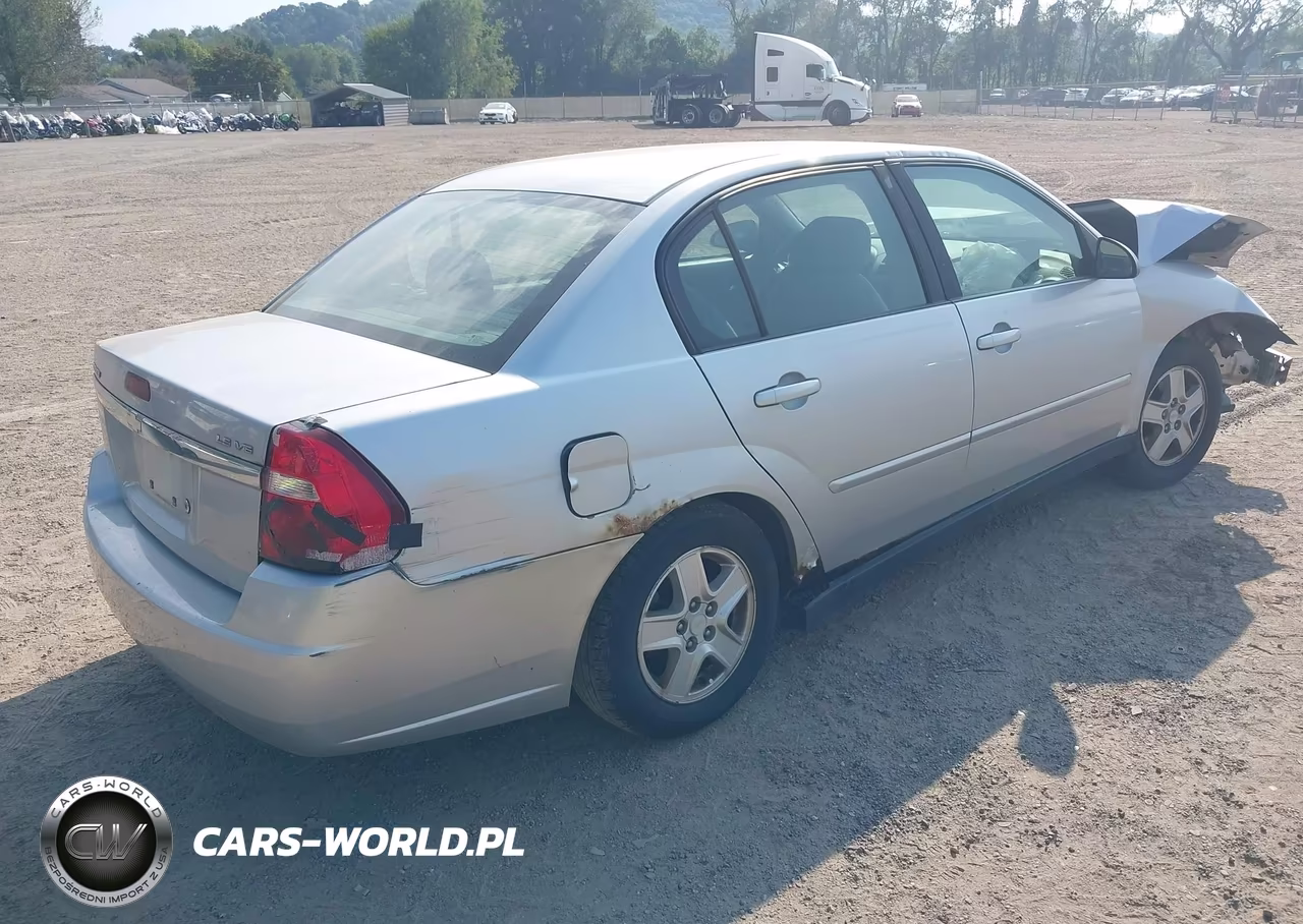 2004 Chevrolet Malibu Ls VIN:1G1ZT52824F205331 - 4
