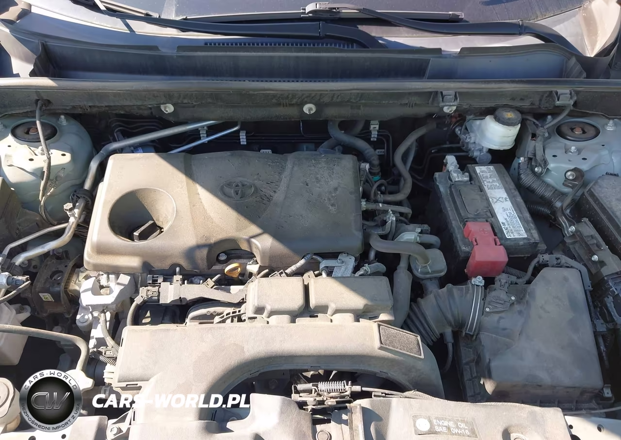2019 Toyota Rav4 Xle VIN:2T3P1RFV0KC018596 - 10