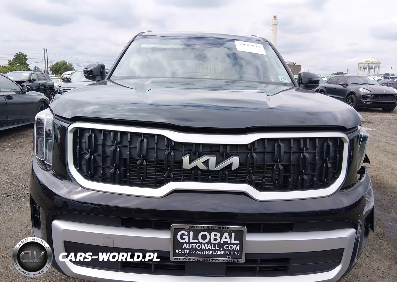 2025 Kia Telluride Ex VIN:5XYP3DGC2SG623825 - 12