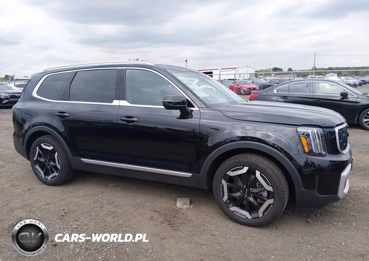 2025 Kia Telluride Ex VIN:5XYP3DGC2SG623825 - 13