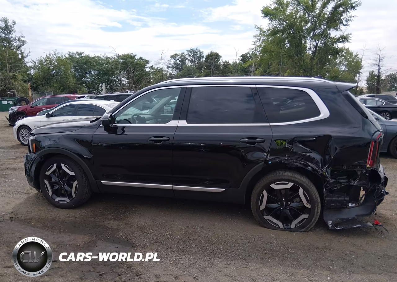 2025 Kia Telluride Ex VIN:5XYP3DGC2SG623825 - 14