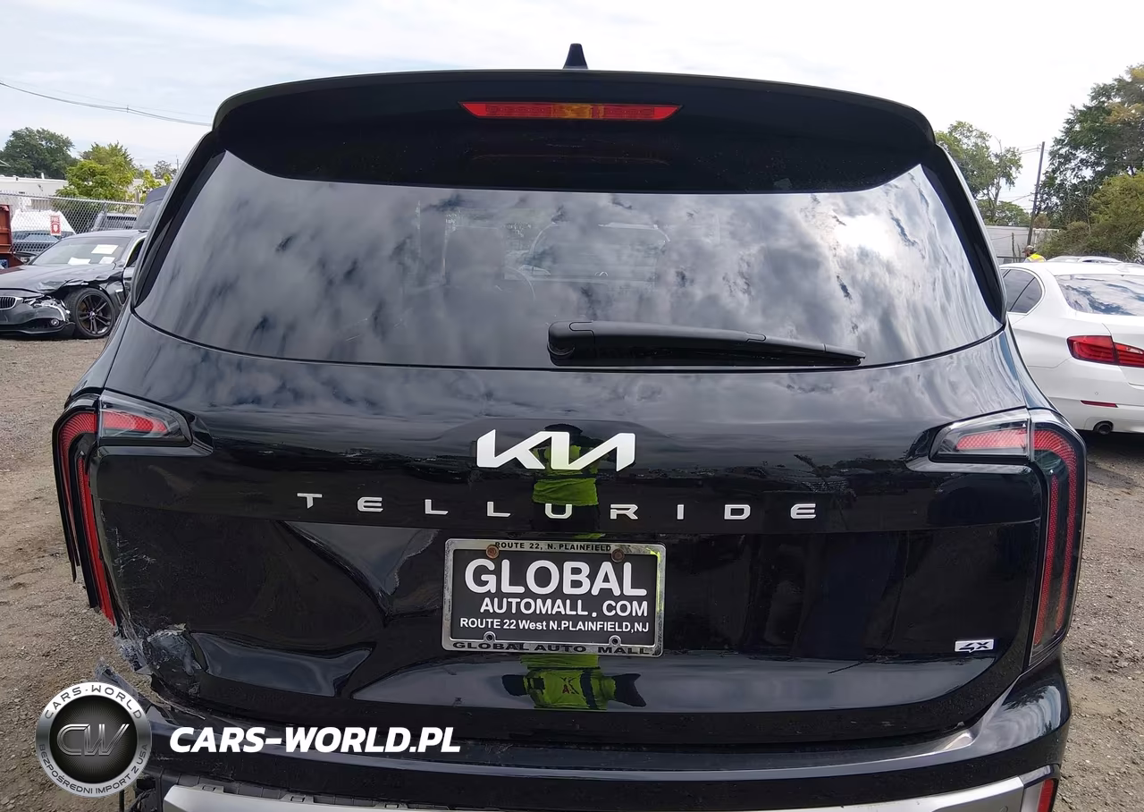 2025 Kia Telluride Ex VIN:5XYP3DGC2SG623825 - 16