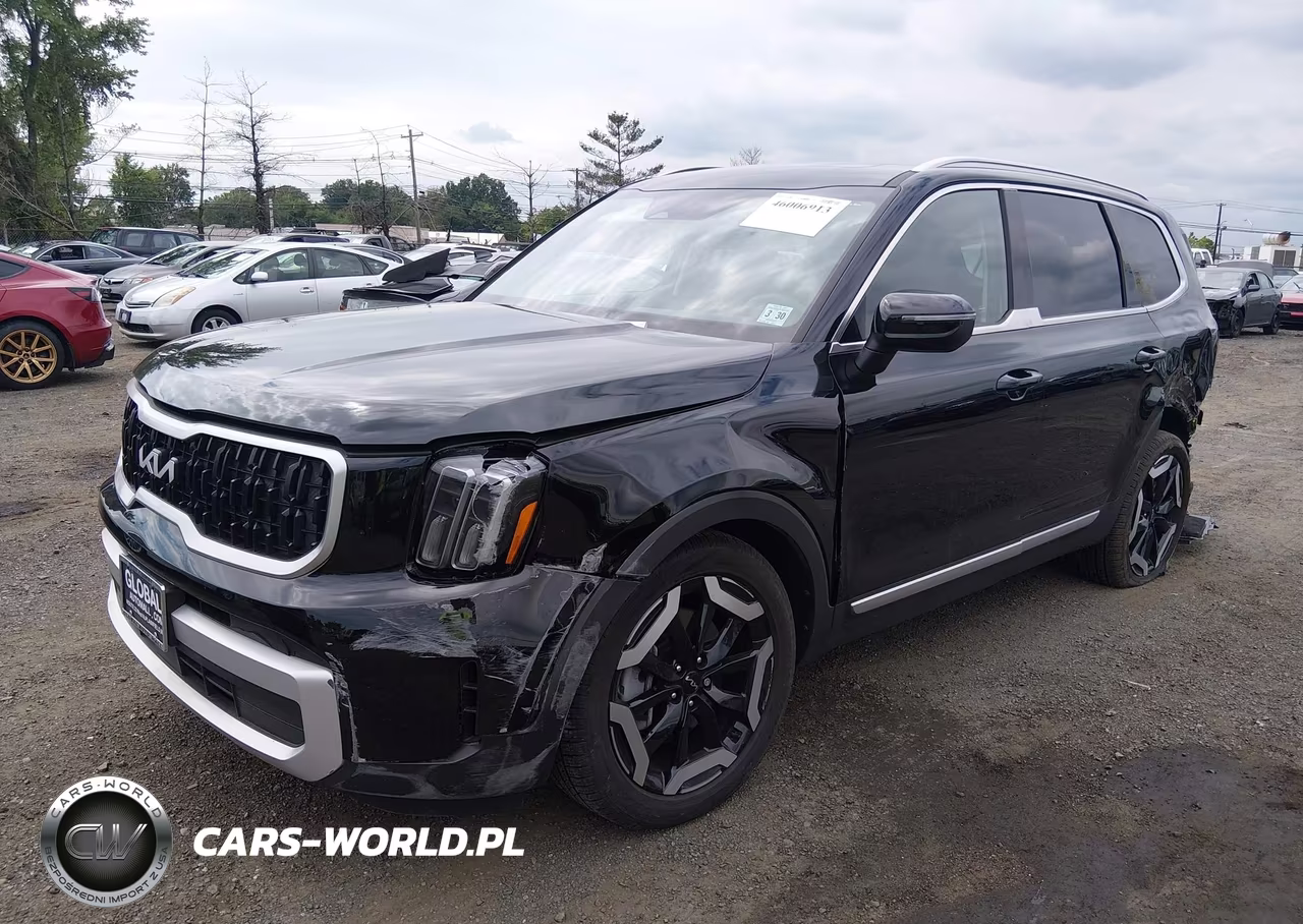 2025 Kia Telluride Ex VIN:5XYP3DGC2SG623825 - 2