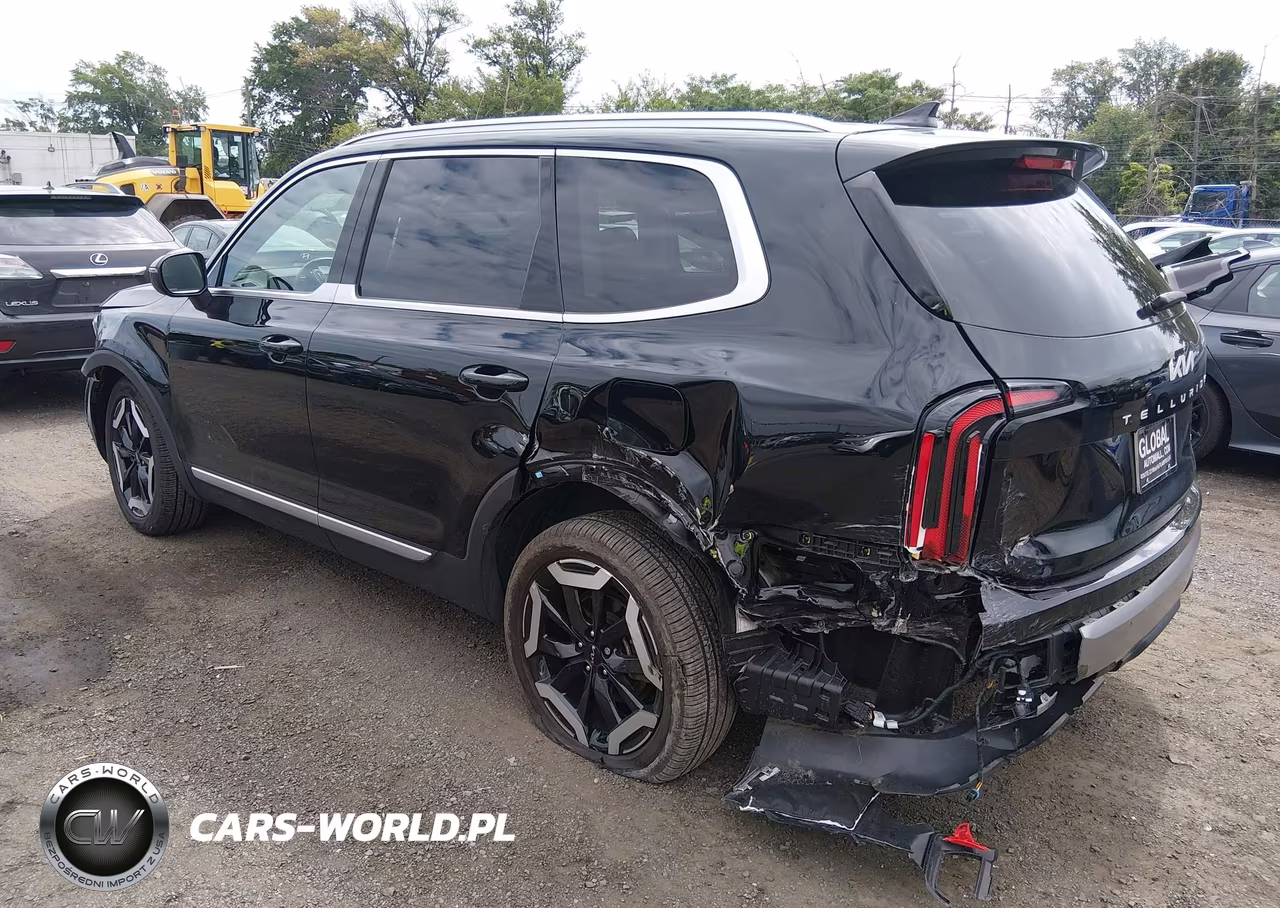 2025 Kia Telluride Ex VIN:5XYP3DGC2SG623825 - 3