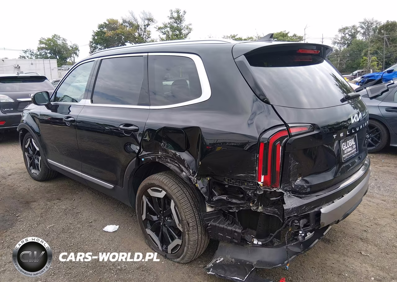 2025 Kia Telluride Ex VIN:5XYP3DGC2SG623825 - 6