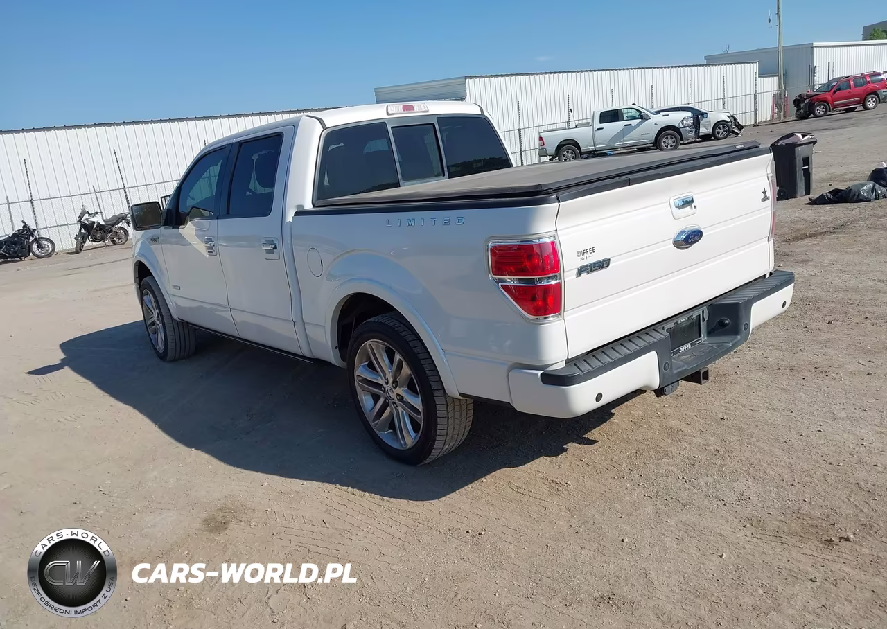 2013 Ford F-150 Limited VIN:1FTFW1ETXDFA16484 - 3