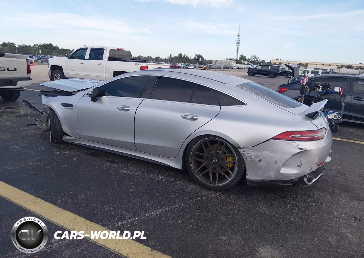 2019 Mercedes-Benz Amg Gt 63 4-Door Coupe S VIN:WDD7X8KB5KA007889 - 3