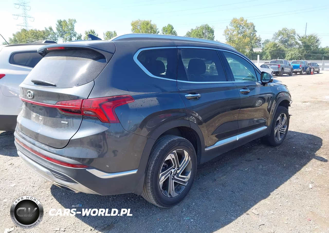 2023 Hyundai Santa Fe Sel VIN:5NMS3DAJ4PH507962 - 4