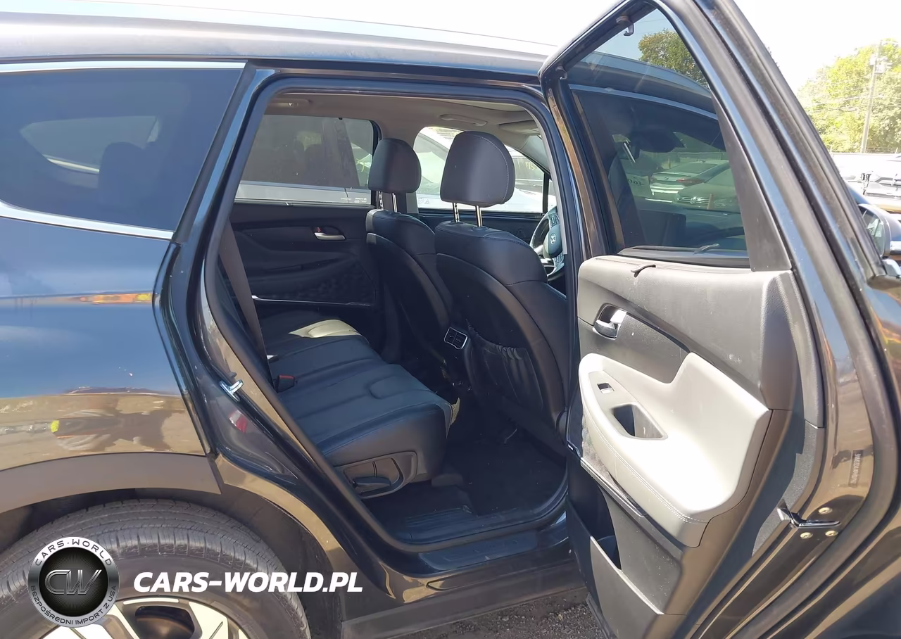 2023 Hyundai Santa Fe Sel VIN:5NMS3DAJ4PH507962 - 8