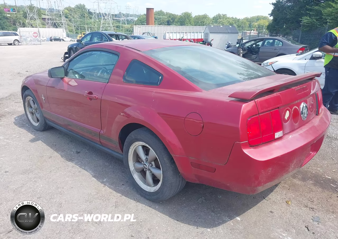 2006 Ford Mustang V6 VIN:1ZVHT80N065160120 - 3