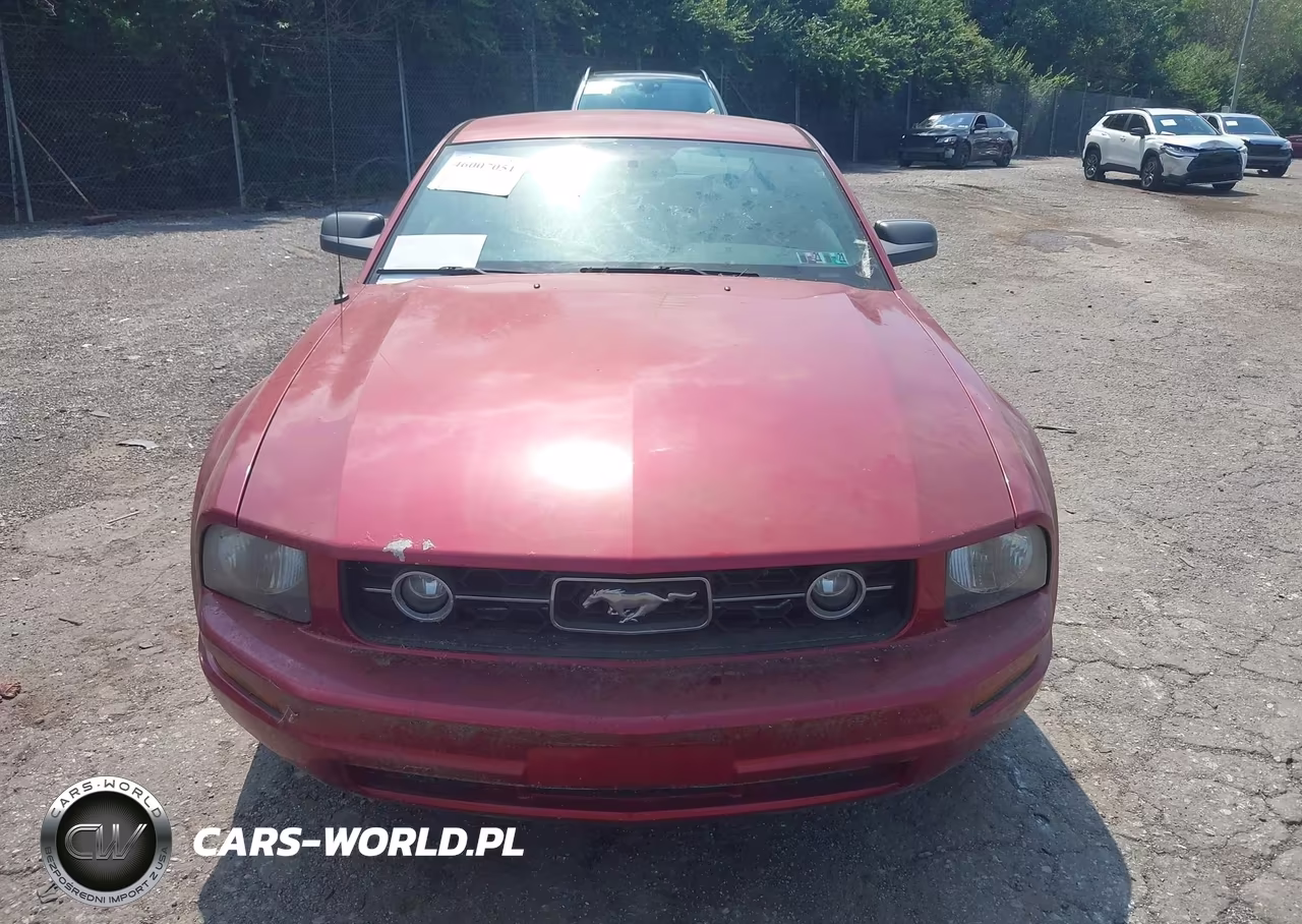 2006 Ford Mustang V6 VIN:1ZVHT80N065160120 - 6