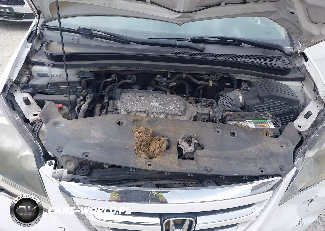 2007 Honda Odyssey Ex-L VIN:5FNRL38747B145121 - 10