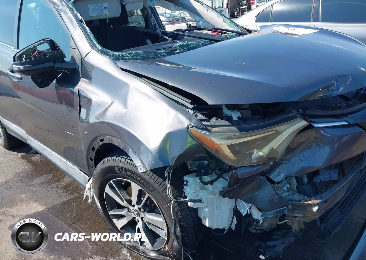 2017 Toyota Rav4 Xle VIN:2T3WFREV5HW336395 - 12