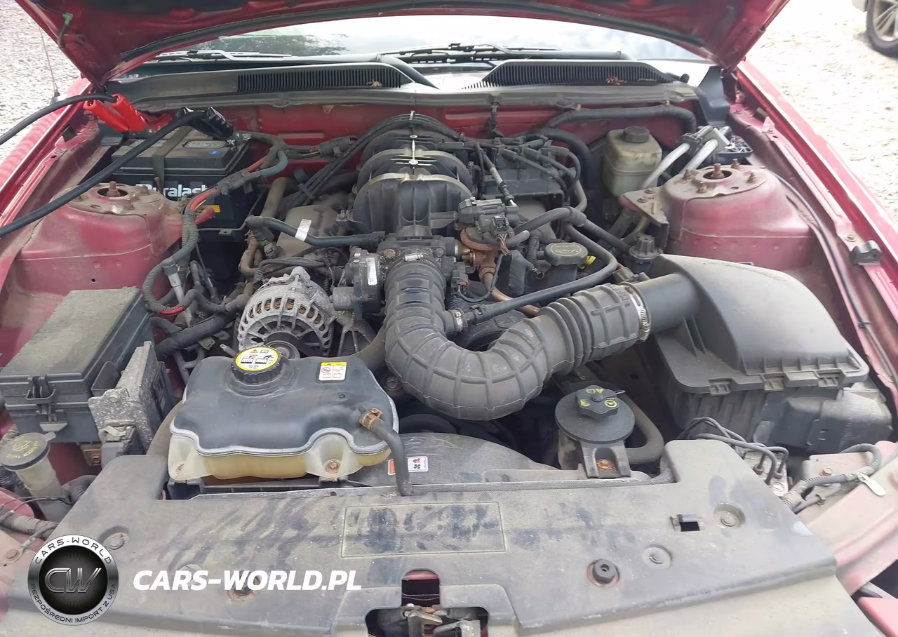 2006 Ford Mustang V6 VIN:1ZVFT84N165188882 - 10